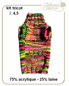 Kit tricot 2026 n°3 - Pull pour chien