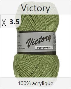 pelote de 50 g Victory de Lammy