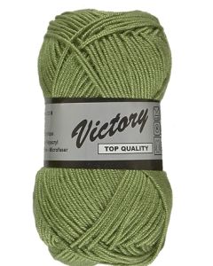 pelote Victory de lammy coloris 46 vert