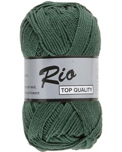 pelote de 50 g coton rio de lammy 072 vert