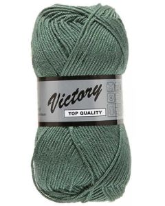 pelote Victory de lammy coloris 072 vert