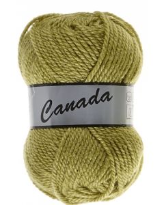 pelote 50 g canada de lammy 271 vert mousse clair