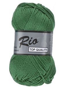 pelote de 50 g coton rio de lammy 373 vert