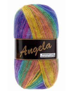 pelote 100 g Angela coloris multicolore 401