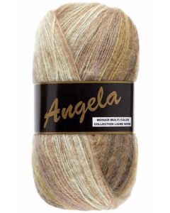 pelote 100 g Angela coloris multicolore 403