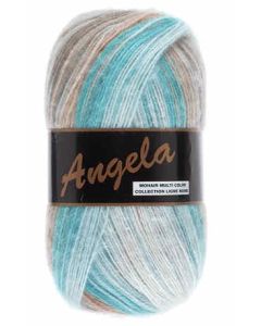 pelote 100 g Angela coloris multicolore 410