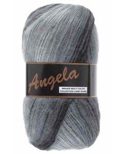 pelote 100 g Angela coloris multicolore 412