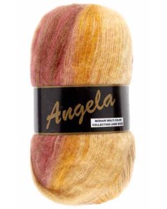 pelote 100 g Angela coloris multicolore 402