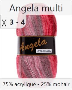 pelote 100 g Angela coloris multicolore