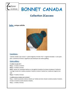 FICHE BONNET CANADA taille unique adulte