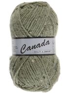 pelote 50 g canada tweed de lammy 495 vert moucheté